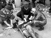 Watch Reporting from a Rabbit Hole (Short 2002)