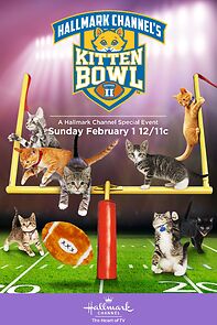 Watch Kitten Bowl II (TV Special 2015)