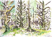 Watch Mémoires de la terre