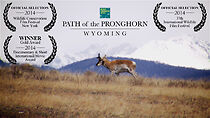 Watch Path of the Pronghorn (Short 2013)