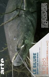 Watch River Jaws: Le silure, l'ogre de nos rivières
