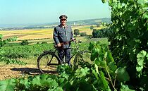 Watch Himmel Polt und Hölle