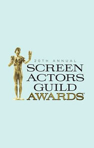 Watch 20th Annual Screen Actors Guild Awards (TV Special 2014)