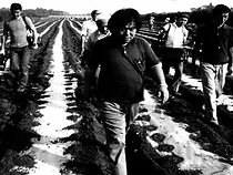 Watch Devotion: A Film About Ogawa Productions