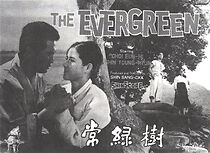 Watch Evergreen Tree