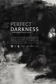 Watch Perfect Darkness (Short 2016)