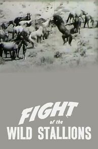 Watch Fight of the Wild Stallions (Short 1947)