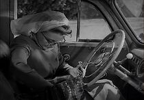 Watch Have You Ever Wondered? (Short 1947)