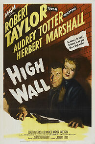 Watch High Wall