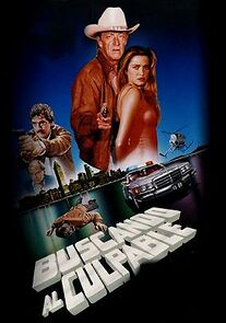 Watch Buscando al culpable