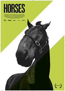 Watch Horses