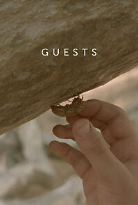 Watch Guests (Short 2013)