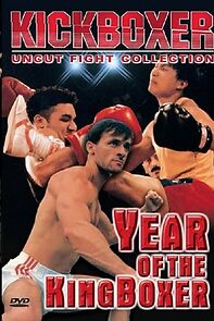 Watch Year of the Kingboxer
