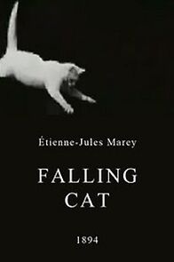 Watch Falling Cat (Short 1894)