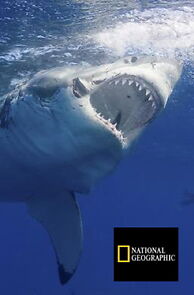 Watch Expedition Great White