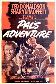 Watch Pal's Adventure (Short 1948)
