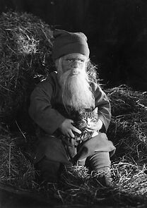 Watch Tomten (Short 1941)