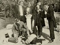 Watch The Spider and Her Web (Short 1914)