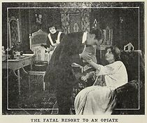 Watch The Spirit of the Poppy