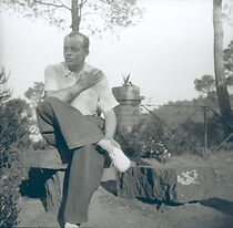 Watch Antoine de Saint-Exupéry, le dernier romantique