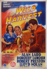 Watch Wild Harvest