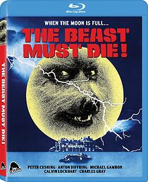 Watch Directing the Beast