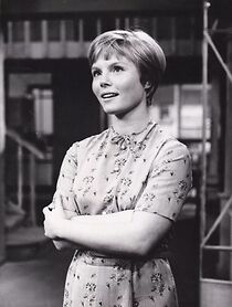 Watch Der Sommer der 17. Puppe