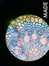 Watch Made (Short 2014)