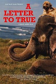 Watch A Letter to True