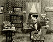 Watch Aunt Miranda's Cat (Short 1912)