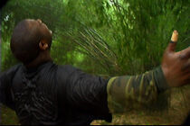 Watch The Experience