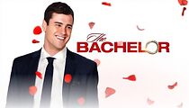 Watch The Bachelor at 20: A Celebration of Love (TV Special 2016)