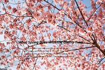 Watch What Spring Does with the Cherry Trees (Short 2022)