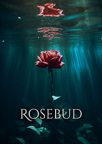 Watch Rosebud (Short 2004)