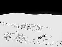 Watch La révolution des crabes (Short 2004)