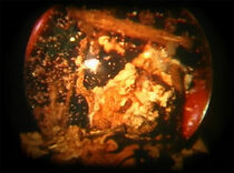 Watch Solo (Short 2005)