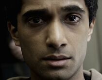 Watch The Wasp and the Caterpillar (Short 2010)