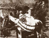 Watch Will o' the Wisp (Short 1913)