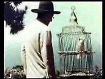 Watch William Buys a Parrot (Short 1963)