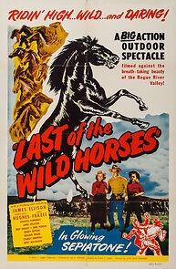 Watch Last of the Wild Horses
