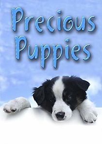 Watch Precious Puppies