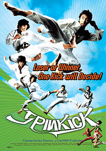 Watch Spin Kick