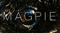 Watch Magpie (Short 2014)