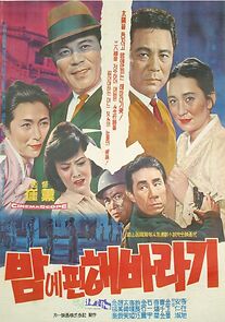 Watch Bame pin haebaragi