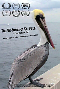 Watch The Birdman of St. Pete (Short 2014)