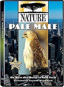 Watch Pale Male