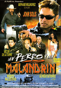 Watch Un perro y un malandrin