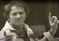 Watch Simó Sándor (Short 2002)