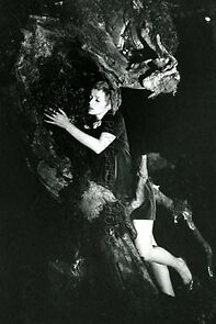 Watch Les rendez-vous en forêt