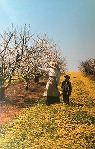 Watch The Cherry Orchard (Short 2003)